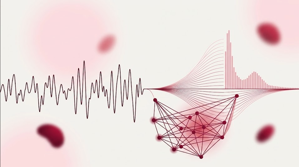 Características del EEG para un análisis integral del cerebro